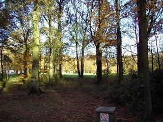 Ceder 1 Aan de Wolfsberg